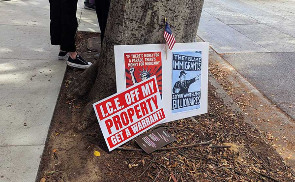 signs by a tree trunk