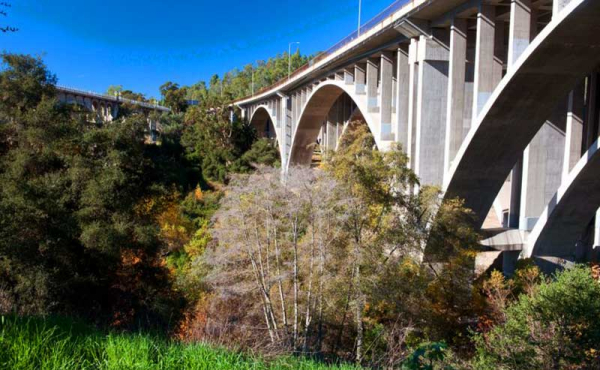 a bridge and forest like vegetation