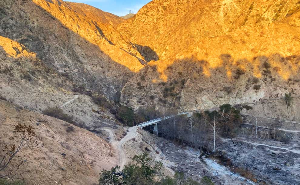 fire burned area at a hiking trail