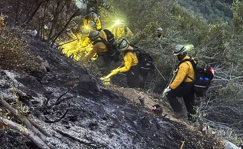 firefighters fighting a fire