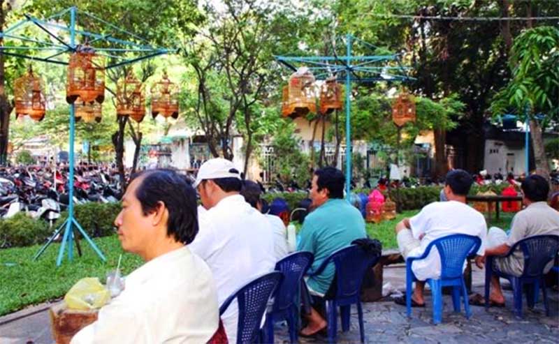 people watching birds