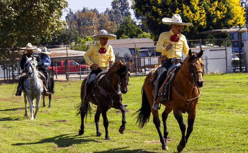 men performing on horses