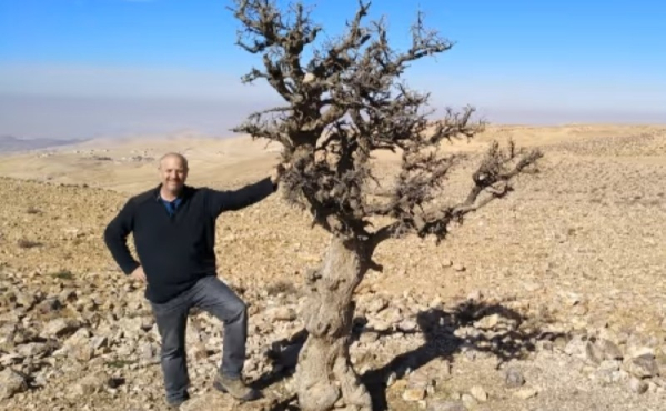 A man standing next to a tree