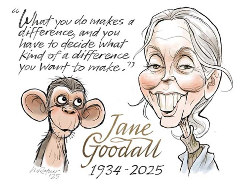 Jane Goodall