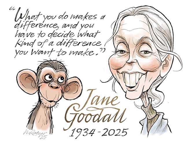 Jane Goodall