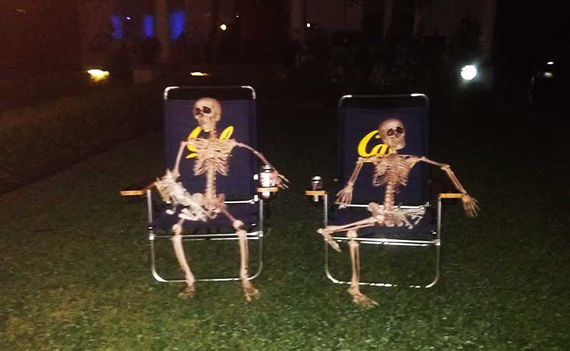 two skeletons on lawn chairs