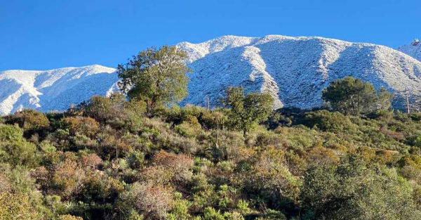 hill side in altadena