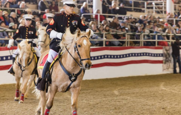 uniformed riders on horses in an arena