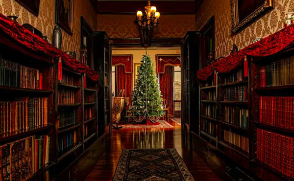 A holiday tree viewed from the hallway
