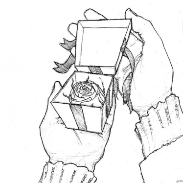 a rose inside a box