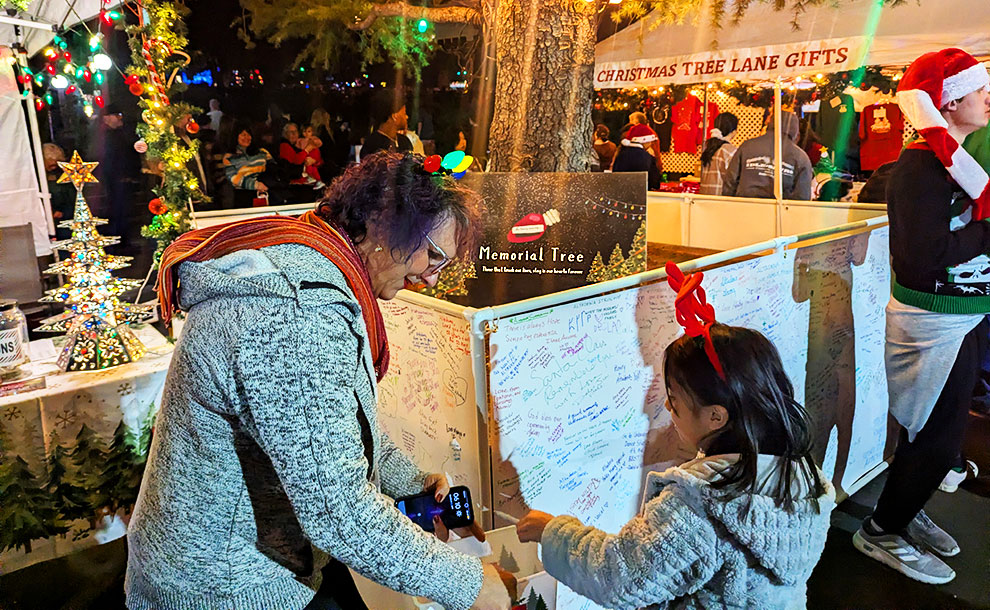 at Christmas Tree Lane