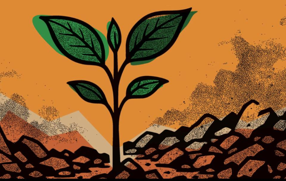 burnt orange background with bright green plant pushing up out of rocks