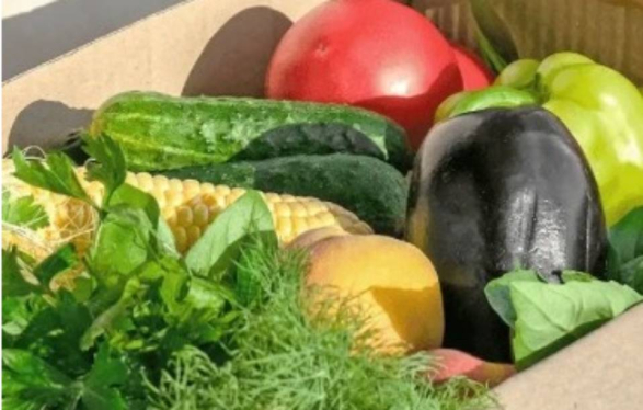 colorful layers of produce including corn, tomato, eggplant and herbs