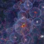 Carnegie Science Talk - Ultraviolet Suspects: Using Galaxies to Shed Light on the Early Universe