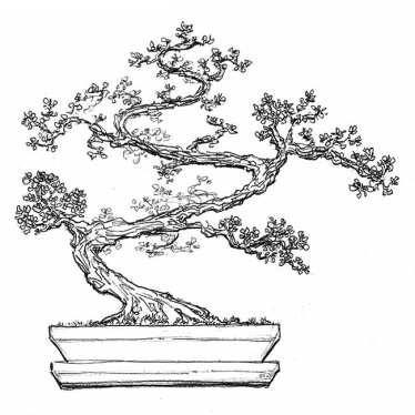 A bonsai