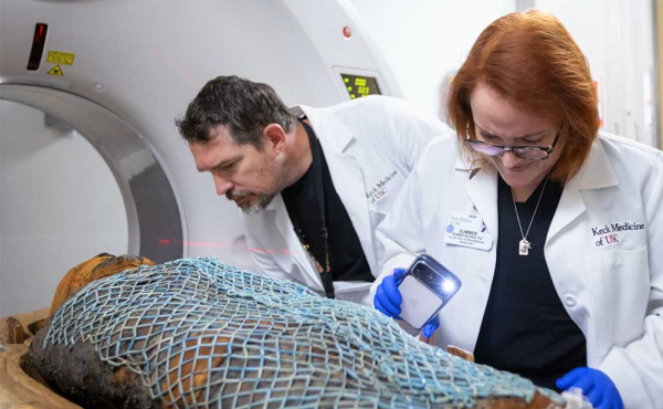 two scientists examine mummies