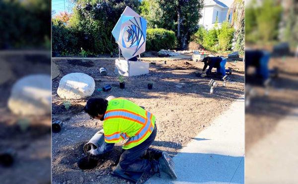 workers planting native plants