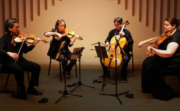 a group of musicians